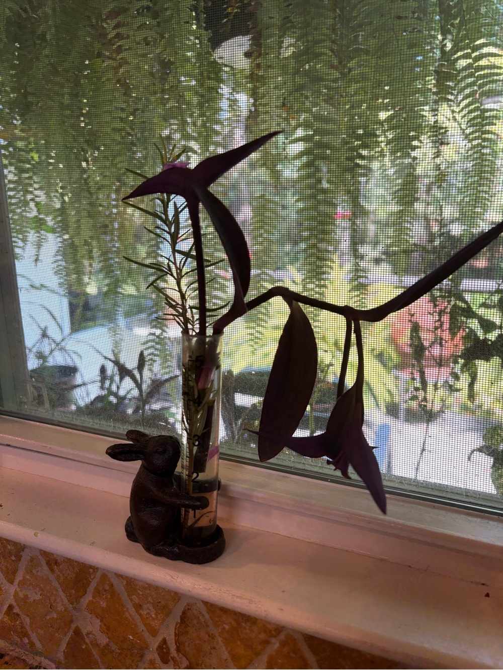 Cast Iron Rabbit Rain Gauge - Picture 6 of 6